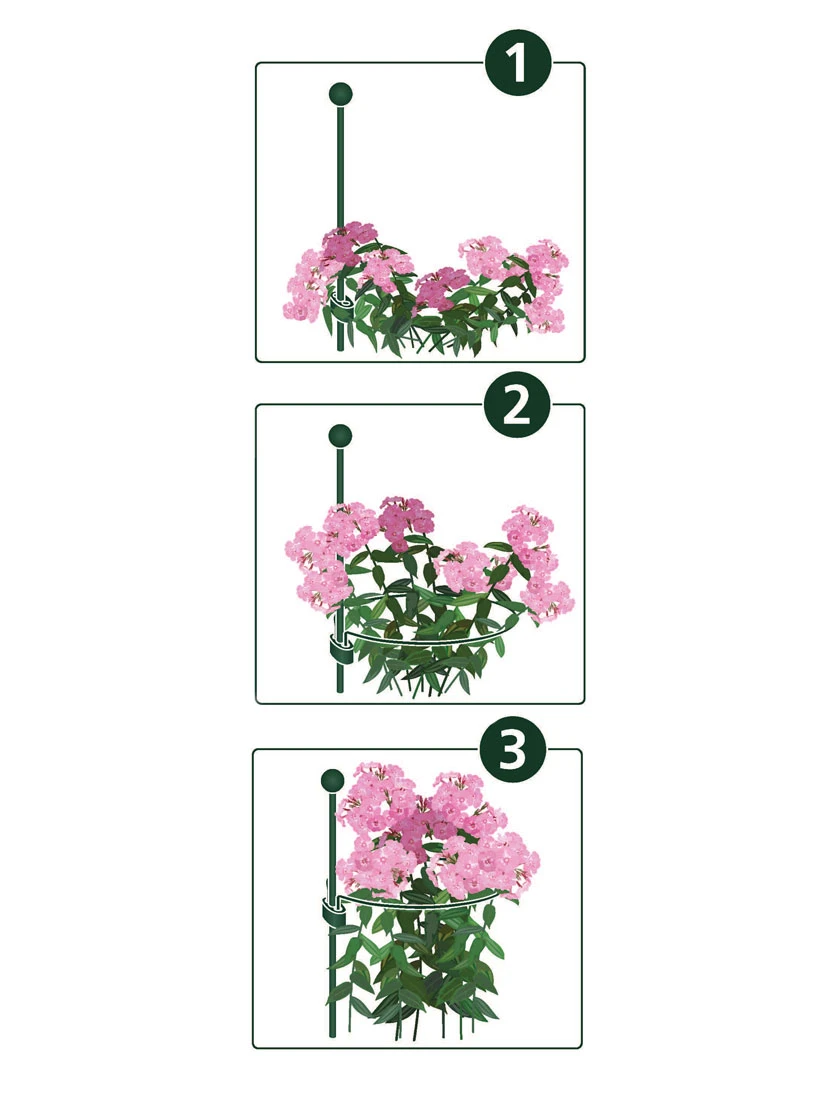 Peacock Mini Plant Support Rings 4", Set Of 2 2 Peacock Mini Plant Support Rings 4", Set Of 2 - Image 2