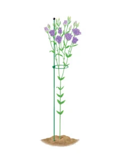 Peacock Mini Plant Support Rings 4", Set Of 2 10 Peacock Mini Plant Support Rings 4", Set Of 2 -Default Template 3 8610386 peacock4x36