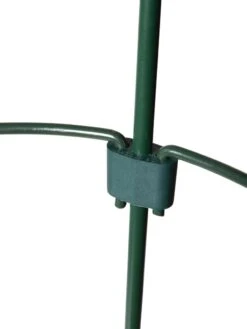 Peacock Classic Plant Support Rings 15", Set Of 2 13 Peacock Classic Plant Support Rings 15", Set Of 2 -Default Template 3 8610387 9577 tif