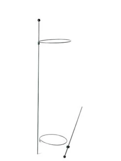 Peacock Mini Plant Support Rings 8", Set Of 2 -Default Template 3 8610388 9565 tif