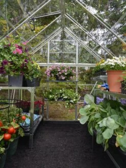 Canopia® By Palram Harmony™ Greenhouse, 6' X 14' -Default Template 3 8610563 03V jpg