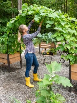 2’ X 8’ Arch Trellis For Planter Boxes -Default Template 3 8610798 050 tif