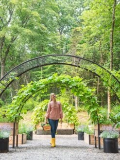 2’ X 8’ Arch Trellis For Planter Boxes -Default Template 3 8610798 071 tif