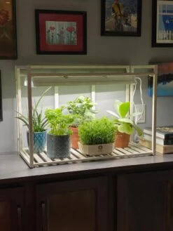 Oslo 1-Tier LED Grow Light Garden -Default Template 3 8611002 01IN tif