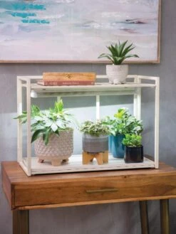 New Arrival -Default Template 3 8611002 2000 tif