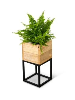Tartu Elevated Square Planters -Default Template 3 8611004 038