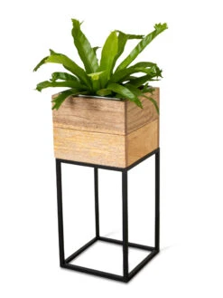 Tartu Elevated Square Planters -Default Template 3 8611005 036