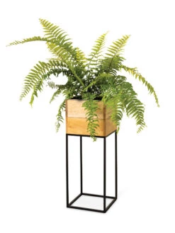 Tartu Elevated Square Planters -Default Template 3 8611006 033
