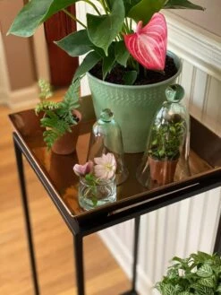 New Arrival -Default Template 3 8611014 3655 tif