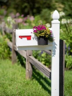 Mailbox Planter -Default Template 3 8611026 014 tif