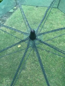 GardenSkill Pop N Crop Plant Umbrella -Default Template 3 8611105 07V tif