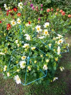 New Arrival -Default Template 3 8611129 004 tif