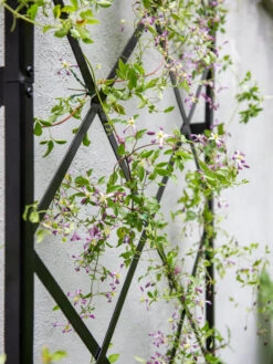 Lattice Gable Wall Trellis -Default Template 3 8611130 011