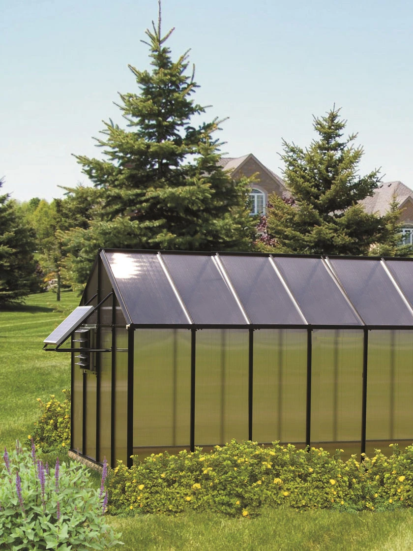 MONT Mojave Greenhouse, 8' X 20' 1 MONT Mojave Greenhouse, 8' X 20'