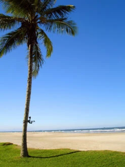 MAXSA® Solar-Powered LED Flag Light -Default Template 3 8611318 02v