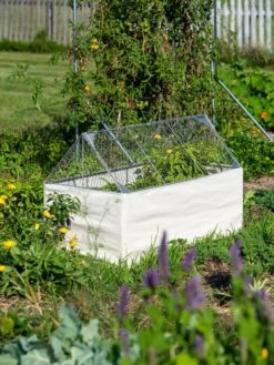 Crop Coop Covers Set -Default Template 3 8611698 005 tif