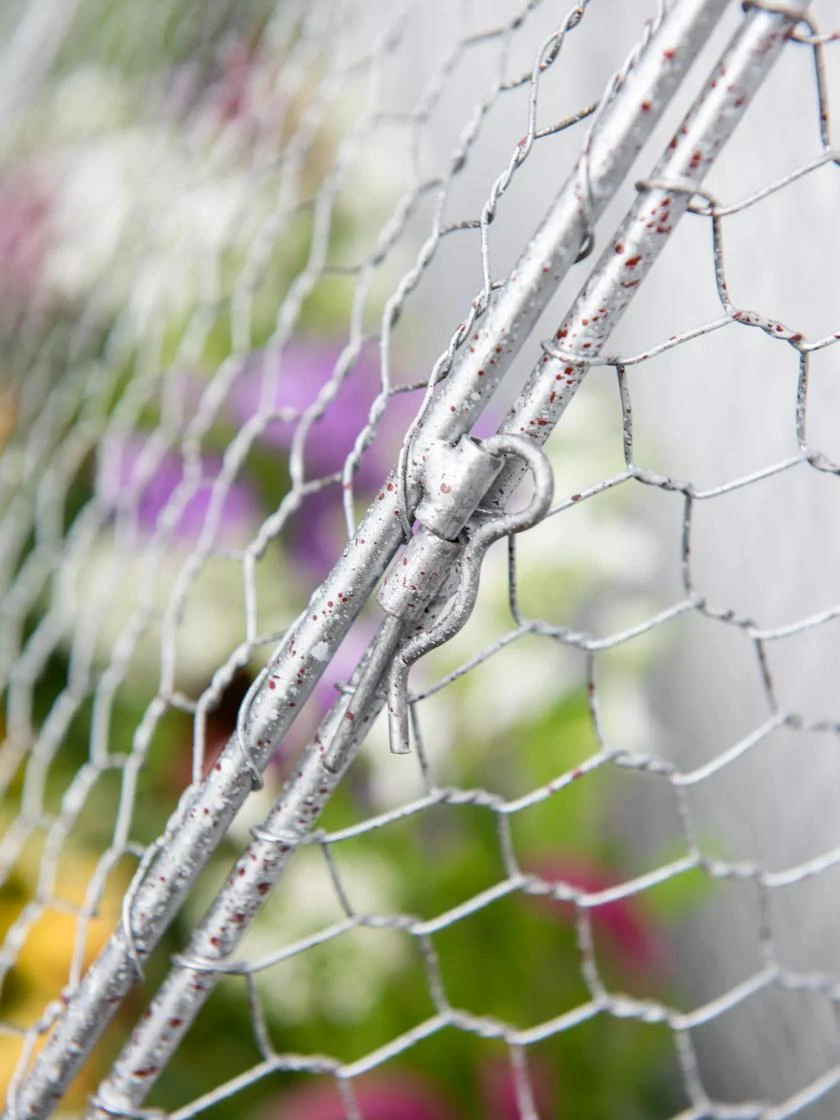 Chicken Wire Flat Back Crop Coop 4 Chicken Wire Flat Back Crop Coop - Image 4