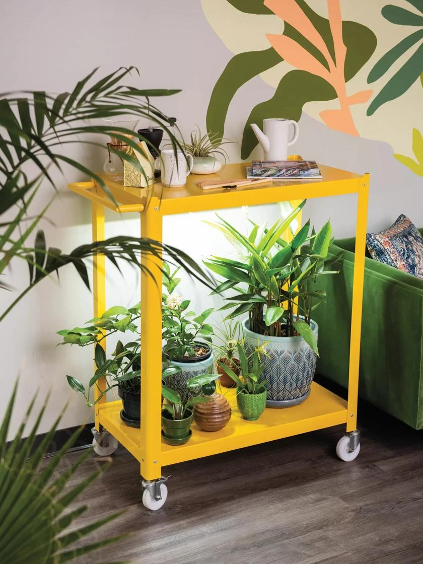 Mobile LED Grow Light Cart 1 Mobile LED Grow Light Cart