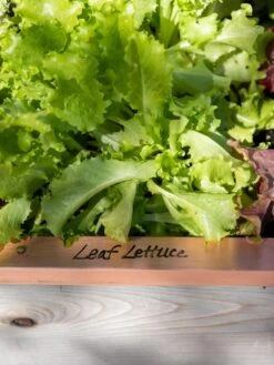 Re-Markable Raised Bed Trim -Default Template 3 8611757 326 tif