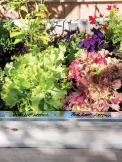 Re-Markable Raised Bed Trim -Default Template 3 8611758 306 tif