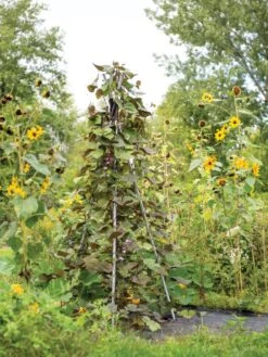 DIY Connector For Teepee Trellis -Default Template 3 8611896 062 tif