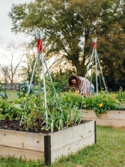 DIY Connector For Teepee Trellis -Default Template 3 8611896 38 tif