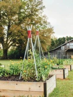 DIY Connector For Teepee Trellis -Default Template 3 8611896 71 tif