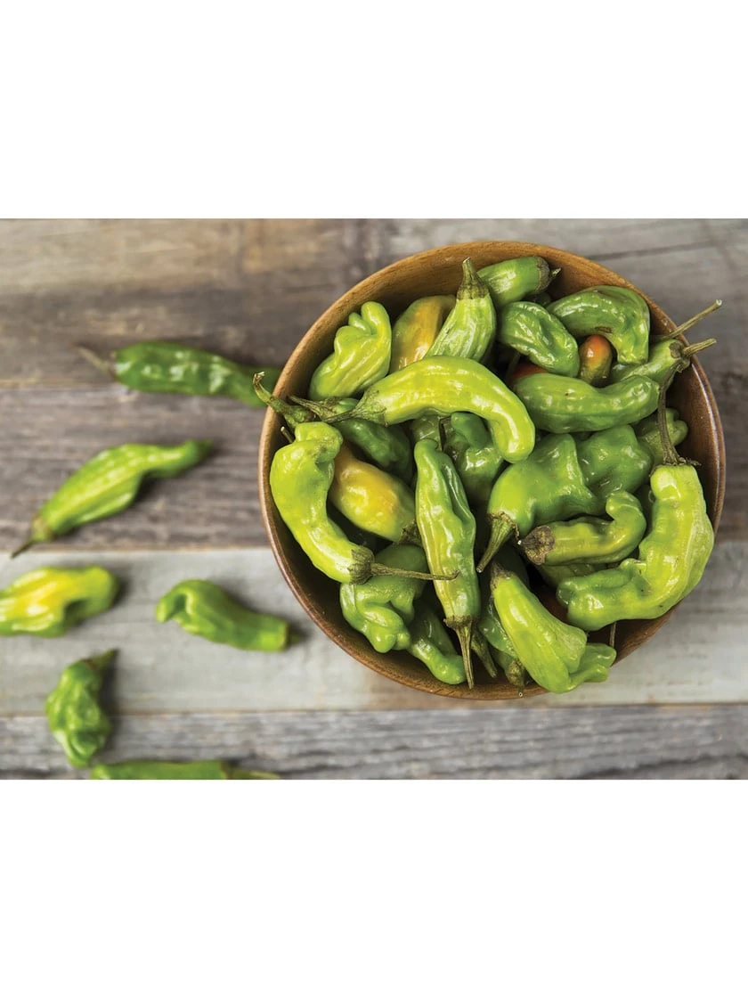 Front Page 74 Front Page -Default Template 3 8611910 01v