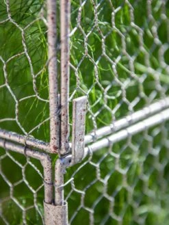 Chicken Wire Crop Coop Extension 10 Chicken Wire Crop Coop Extension -Default Template 3 8611940 232 tif