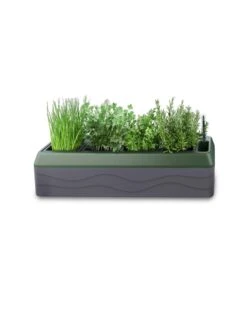 Provence Self-Watering Herb Planter -Default Template 3 8611965 03V tif
