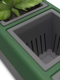 Provence Self-Watering Herb Planter -Default Template 3 8611965 06V tif