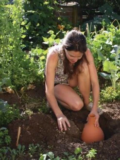 Hydro Max Watering System -Default Template 3 8611967 15V tif