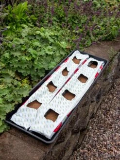 Berry Blend Coir Grow Bag, Set Of 2 -Default Template 3 8611968 361 tif