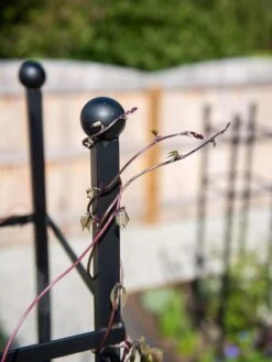 Essex Square Obelisk -Default Template 3 8611984 278 tif