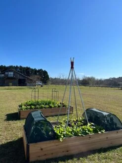 Insect And Pest Net Row Protector -Default Template 3 8611985 04 tif