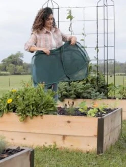 Insect And Pest Net Row Protector -Default Template 3 8611985 8389 tif