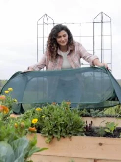 Insect And Pest Net Row Protector -Default Template 3 8611985 8390 tif