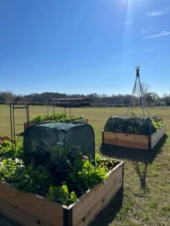 Pest Control Pop-Ups -Default Template 3 8611989 05 tif