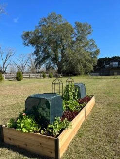 Pest Control Pop-Ups -Default Template 3 8611989 08 tif