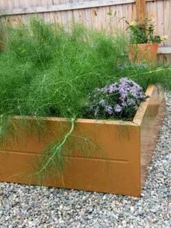 Somerset Metal Raised Beds, As Is -Default Template 3 8612019 005 tif