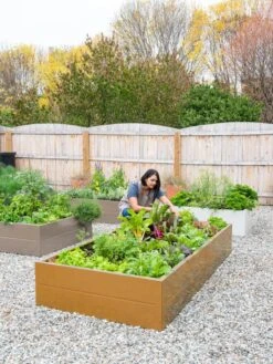 Somerset Metal Raised Beds, As Is -Default Template 3 8612020 0014 tif