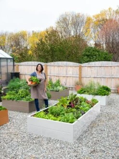 Somerset Metal Raised Beds, As Is -Default Template 3 8612020 0016 tif