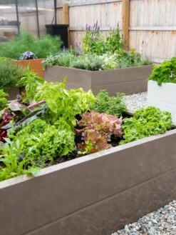 Somerset Metal Raised Beds, As Is -Default Template 3 8612020 002 tif