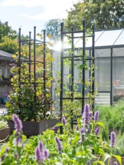 New Arrival -Default Template 3 8612046 346 tif