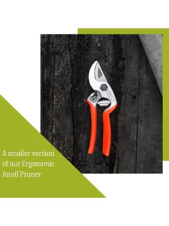 Castellari Mini Anvil Pruner -Default Template 3 8612199 4