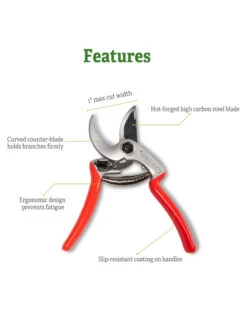 Castellari Mini Anvil Pruner -Default Template 3 8612199 5
