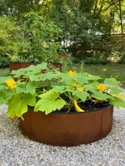 Birdies™ Corten Steel Round Raised Beds 9 Birdies™ Corten Steel Round Raised Beds -Default Template 3 8612422 0484 tif