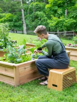 Front Page -Default Template 3 8612425 0156 tif