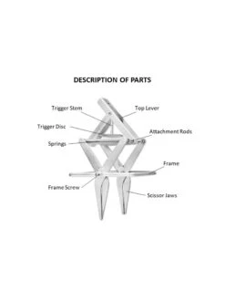 Easy Mole Trap -Default Template 3 8612557 01v
