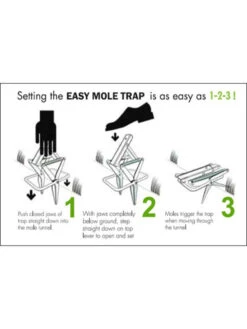Easy Mole Trap -Default Template 3 8612557 04v 1